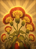 Glowing Red and Yellow Carnation Flower Retro Art Poster 18x24in Carnation