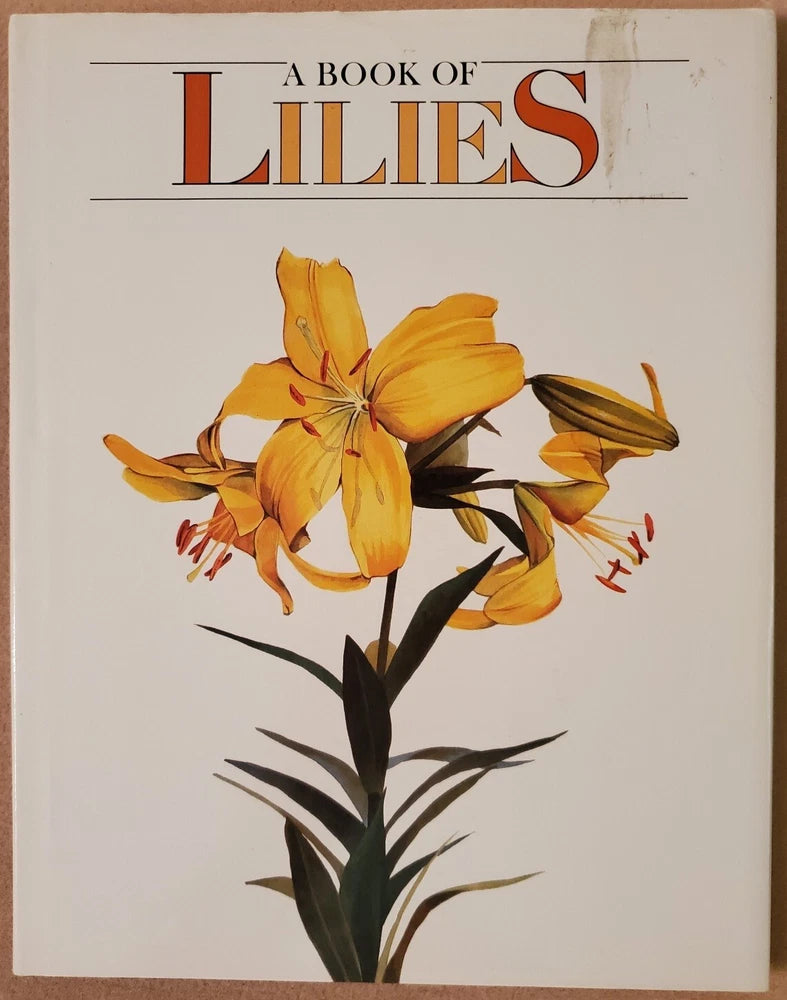 Lily book: illustrated orange and yellow lily flower on cover