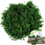 Faux Moss for Potted Plants - Artificial Moss for Crafts Fake Moss Decor Green F Green Plant