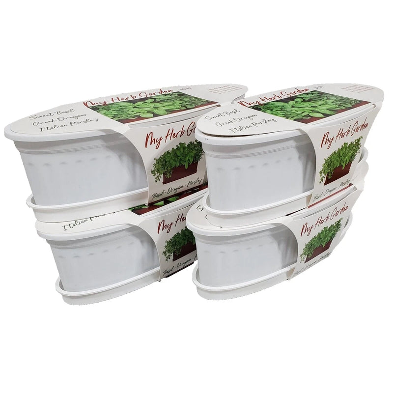 My Herb Garden White Basil, Oregano, Parsley Kitchen Garden Planter Kit Lot of 4 Garden Plants