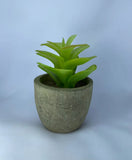 Artificial Succulent Plant in Pot | Small Desk Home Office Table Decor Green Plant