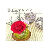 Hometown Preserved Flower Kokedama Style Arrangement [023D-006] Sennan City, Hydrangea