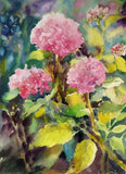 Original Watercolor Painting Pink Hydrangeas Floral Art Watercolor Flower Ar Hydrangea