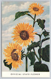 Postcard Sunflower State Flower Kansas Sunflower