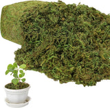 5 OZ Large Capacity Artificial Moss for Potted Plants,Natural Fake Moss Grass fo Green Plant