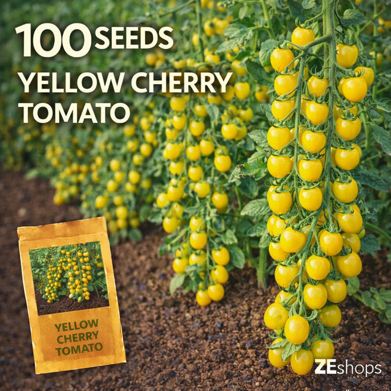 00 Yellow Cherry Tomato Seeds Sweet Garden Variety for Planting Garden Plants
