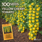 00 Yellow Cherry Tomato Seeds Sweet Garden Variety for Planting Garden Plants