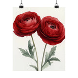 Boho Red Ranunculus Flower Art Print Poster, Minimalist Floral Wall Art 1 Ranunculus