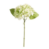 Raz Imports, 13" Real Touch Hydrangea - Green (XF4322680) Hydrangea