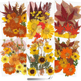 Real Dried Pressed Flowers for Crafts, 100+ PCS Fall Dried Flowers Leaves Nat... Dried Flower