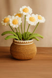 DIY Crochet Daisy Kit for Beginners Handmade Yarn Flower Bouquet with Pot Daisies