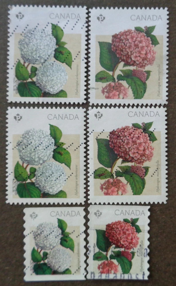 CANADA	#2897-2900 & 2899i-2900i used 2016 hydrangeas set with perf varieties Hydrangea