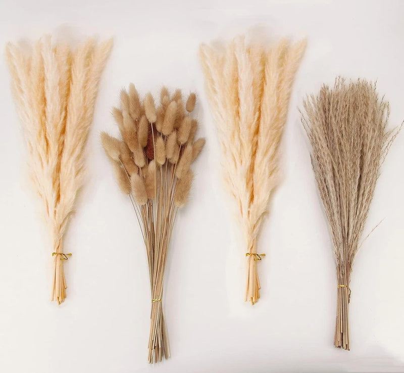 Natural Dried Pampas Grass Decor, Beige 100PCS-Beige, Brown,beige Pampas Grass