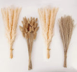 Natural Dried Pampas Grass Decor, Beige 100PCS-Beige, Brown,beige Pampas Grass