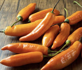20 SEEDS Aji Amarillo Peppers Garden Fresh Vegetables Healthy Planting Garden Plants