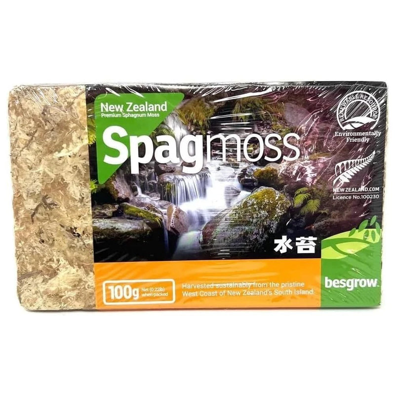 Natural sphagnum moss 100g bag by besgrow for orchids and plants