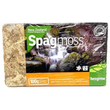 Besgrow Spagmoss 100 Grams Natural Sphagnum Moss for Orchids and Plants Orchids