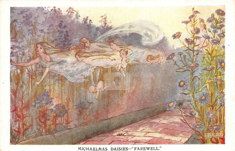 Constance Symonds Michaelmas Daisies Flower Fairies Farewell Postcard Copy Daisies