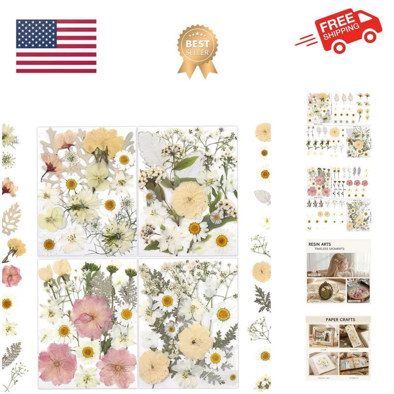 80 Pcs Dried Flowers for Crafts, Real Natural Dried Pressed Flowers in Soft Y... Dried Flower