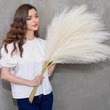 Faux Pampas Grass, 9 PCS 37''/3.1FT Tall Fluffy Fake Pompas Floral Large Pompous Pampas Grass