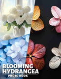 Blooming Hydrangea Photo Book: Vibrant Floral Imagery Showcasing the Beauty of H Hydrangea