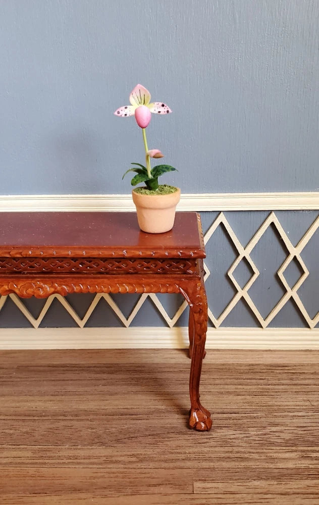 Dollhouse Potted Orchid Pink & White Flowering Plant in Clay Pot 1:12 Scale Flowering Plants