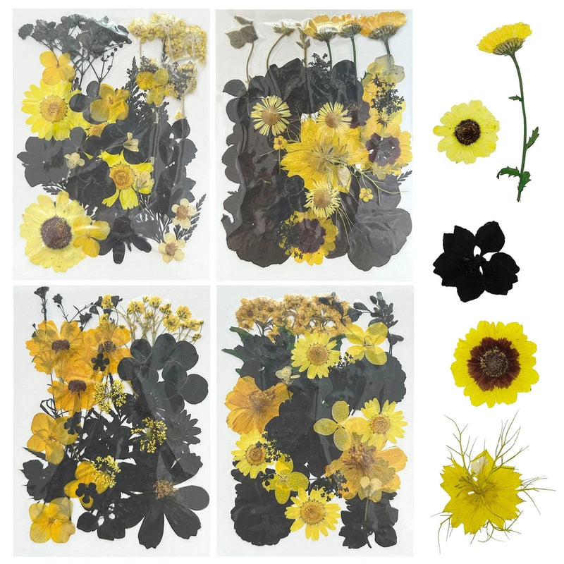 4 Pack Dried Flowers for Resin Molds 85 Pcs Real Natural Dried Pressed Flower... Dried Flower