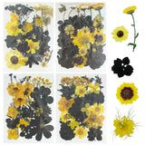 4 Pack Dried Flowers for Resin Molds 85 Pcs Real Natural Dried Pressed Flower... Dried Flower