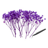 30 Pcs Dried Gypsophila Flower 4" Rose Purple Pressed Flowers with Tweezer Dried Flower