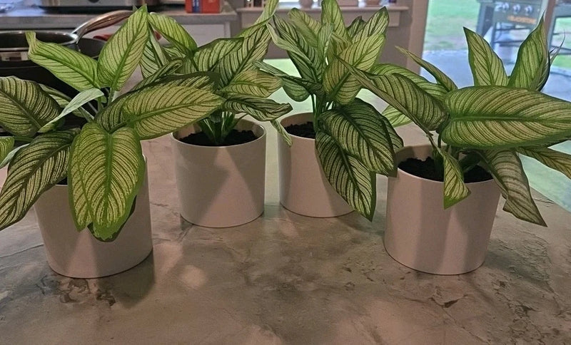Threshold 9" Potted Faux Plant For Indoor Decorative Use Vivid Green - Set of 4 Green Plant