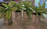 Threshold 9" Potted Faux Plant For Indoor Decorative Use Vivid Green - Set of 4 Green Plant