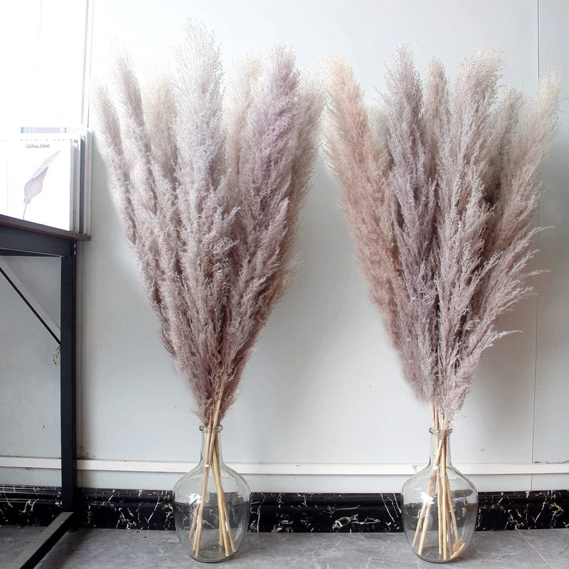 46" inch 10 Stems Natural Pampas Grass Decor Tall Pompas Grass Tall Pampas Gr... Pampas Grass