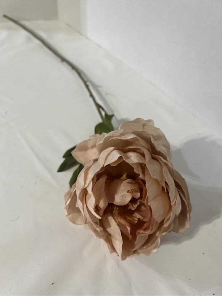 Toast Satin Peony Stem by Ashland 28" Peony