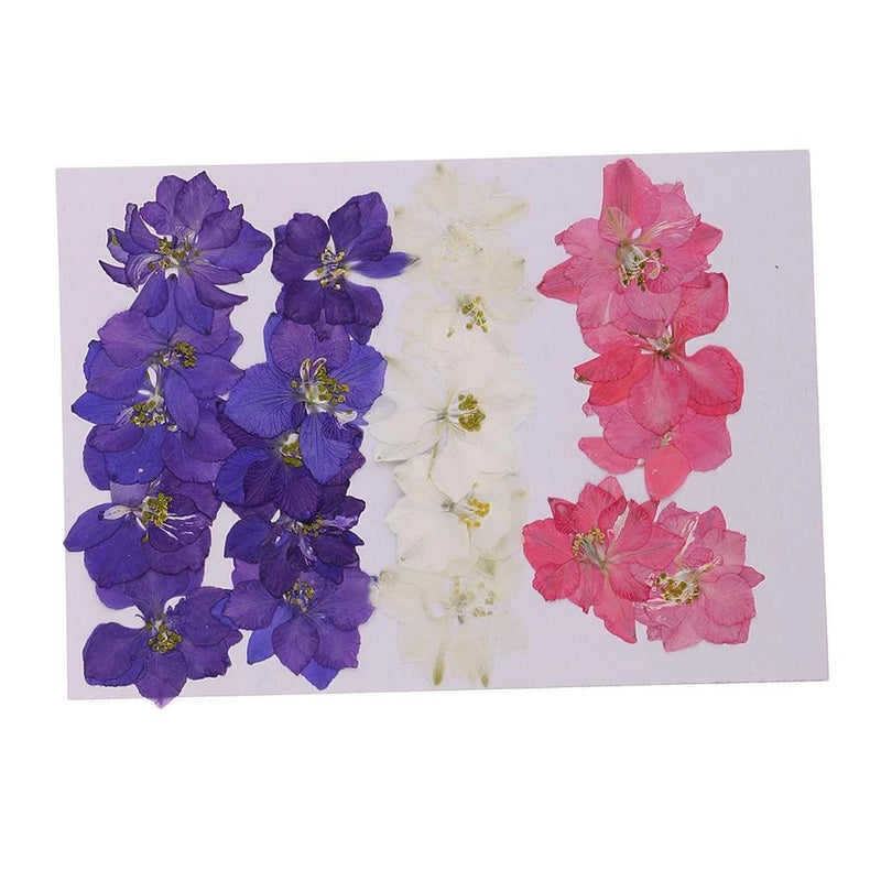 Pressed dried flowers for nail art, purple, white, and pink flower pieces
