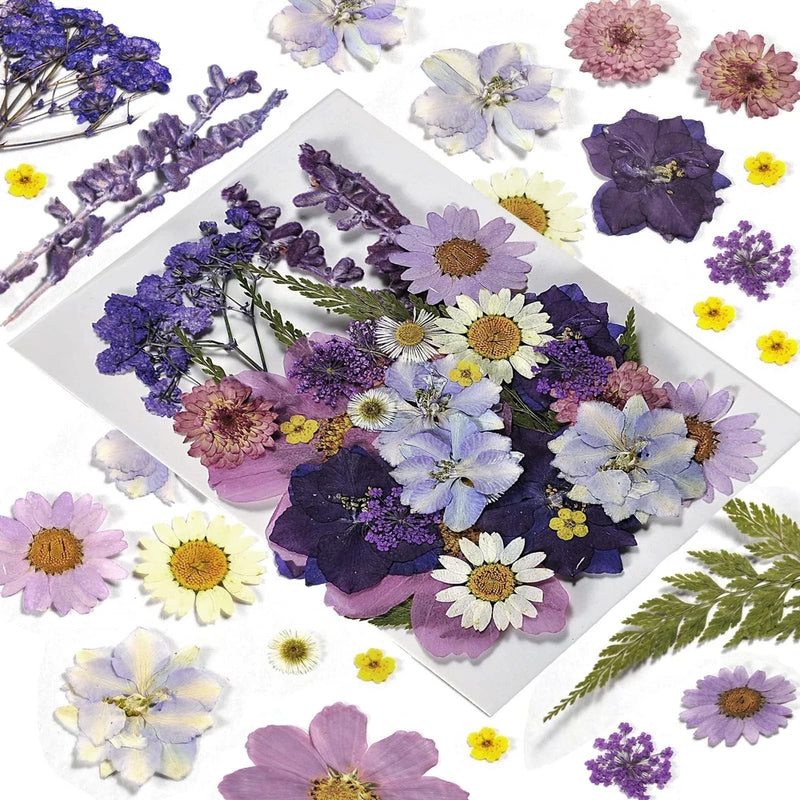 Assorted pressed dried flowers set with purple, lavender, pink and yellow petals