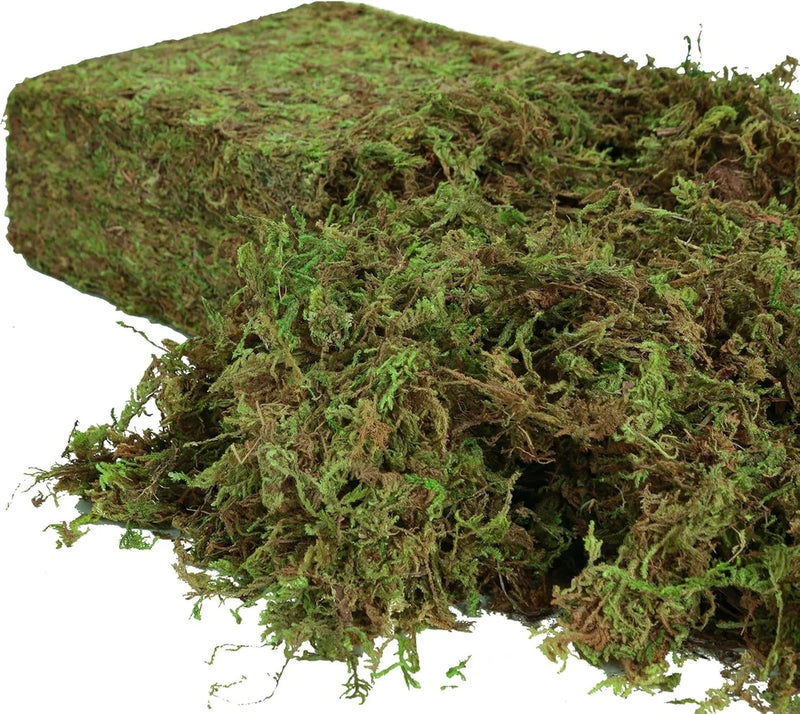 Artificial Moss for Indoor Plants, 16OZ Fake Moss for Crafts, Decorative Centerp Green Plant