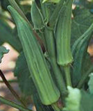 OKRA SEED, EMERALD, HEIRLOOM, NON GMO, 100 SEEDS, GARDEN OKRA SEED Garden Plants