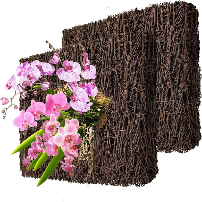 Tree Fern Fiber Board Ð 7.9" Orchid & Aroid Climbing Plant Base Orchids