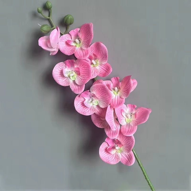 69cm Artificial Phalaenopsis Flower Branches Real Touch Faux Orchid Stems for Fl Roses