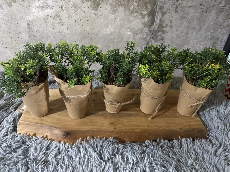 set of 5 faux plants Green Plant