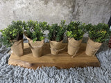 set of 5 faux plants Green Plant