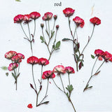 12pcs Handmade Dried Rose with Many Buds Natural Flower Specimen Plant Materials Dried Flower
