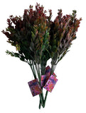 Faux Green & Red Plants - Versatile - Four Pieces - UMG Green Plant