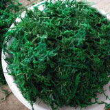 6 oz (170g) Artificial Plant Really Grass Moss DIY  Garden Micro Landscape Green Plant