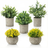 5 Pack Fake Plants, Artificial Eucalyptus & Greenery in Pots - Small Potted F... Green Plant