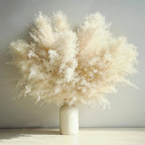 10 Stems Beige Pampas Grass Decor, Natural Dried 10 PCS Pampass, Bouquet