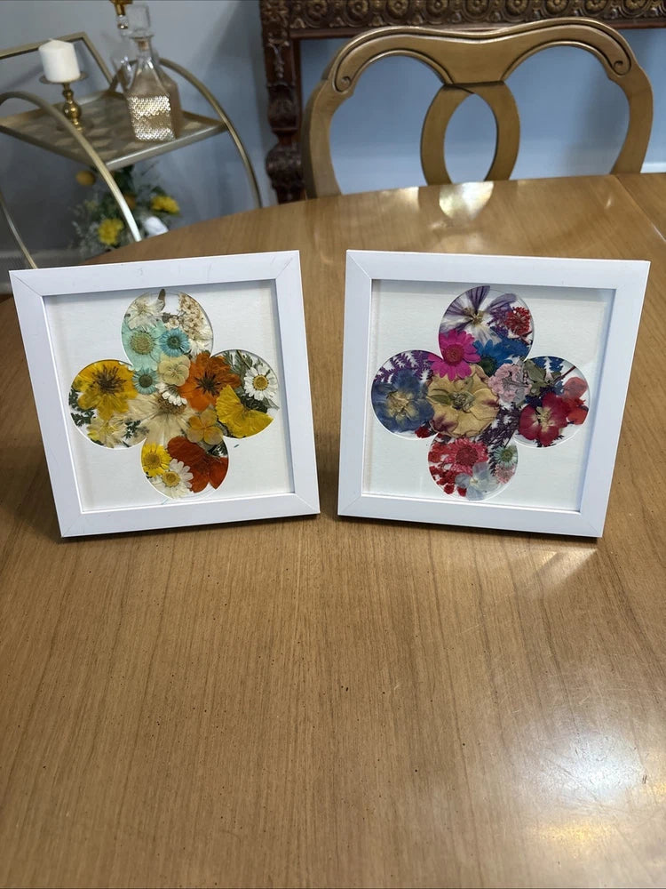 Pressed flower wall art with two white frames, each showing pressed colorful blooms.