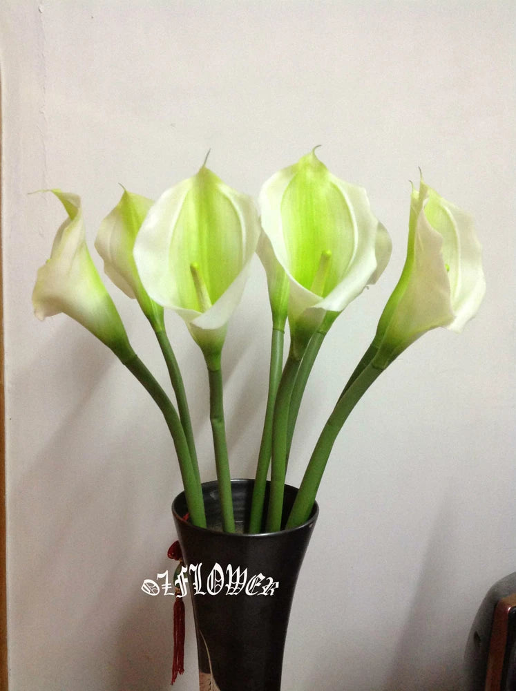 Artificial Flowers and Plants Latex PU Calla Lily F31 Green Plant