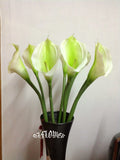 Artificial Flowers and Plants Latex PU Calla Lily F31 Green Plant