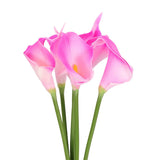 6 Pcs 13 Inch Artificial Calla Lily Fake Flowers Real Touch, Purple Pink/Yellow Lily